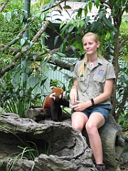 107 Cairns Tropical Zoo